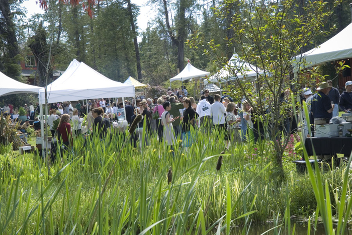 Tofino Food & Wine Festival